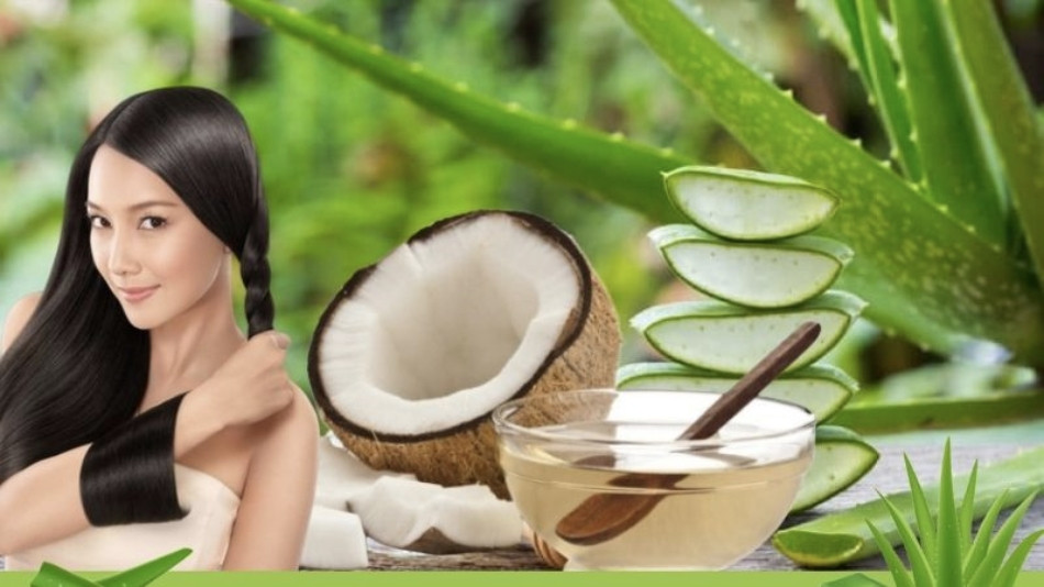 10 Cách Chăm Sóc Tóc Bằng Dầu Dừa Hiệu Quả Giúp Tóc Mọc Nhanh, Mềm Mại