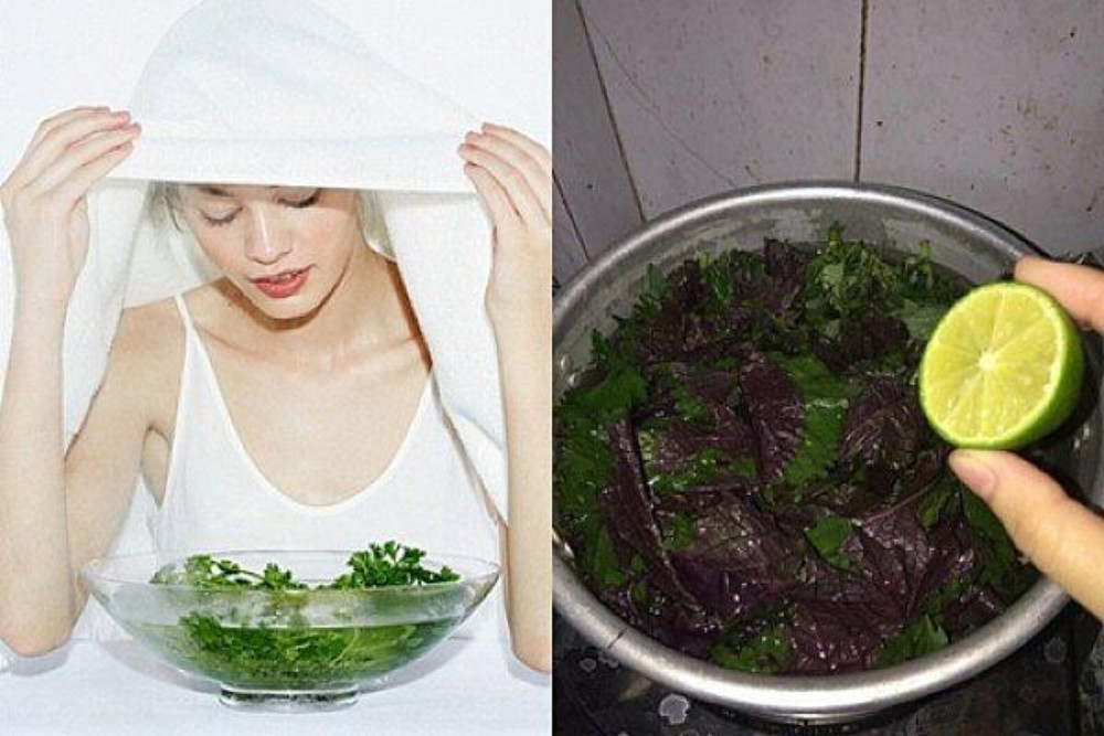 11 Cách Chăm Sóc Da Bằng Lá Tía Tô Tại Nhà