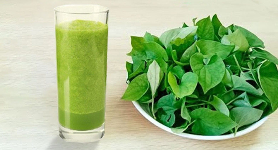 12+ Cách Làm Đẹp Bằng Rau Diếp Cá Hiệu Quả