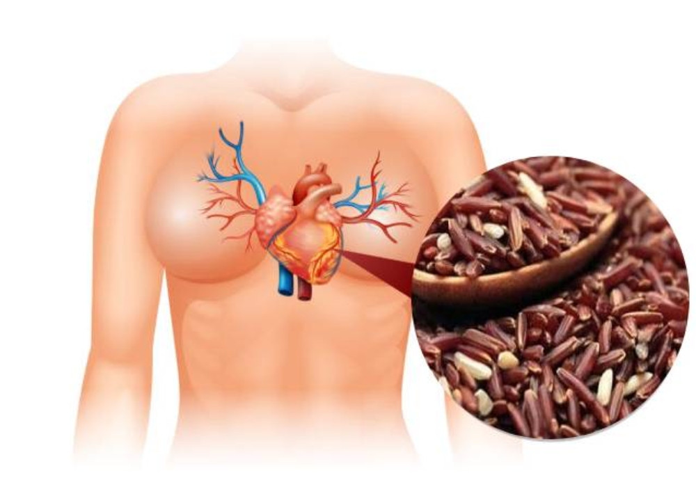 13 Tác Dụng Tuyệt Vời Của Gạo Lứt Đối Với Sức Khỏe