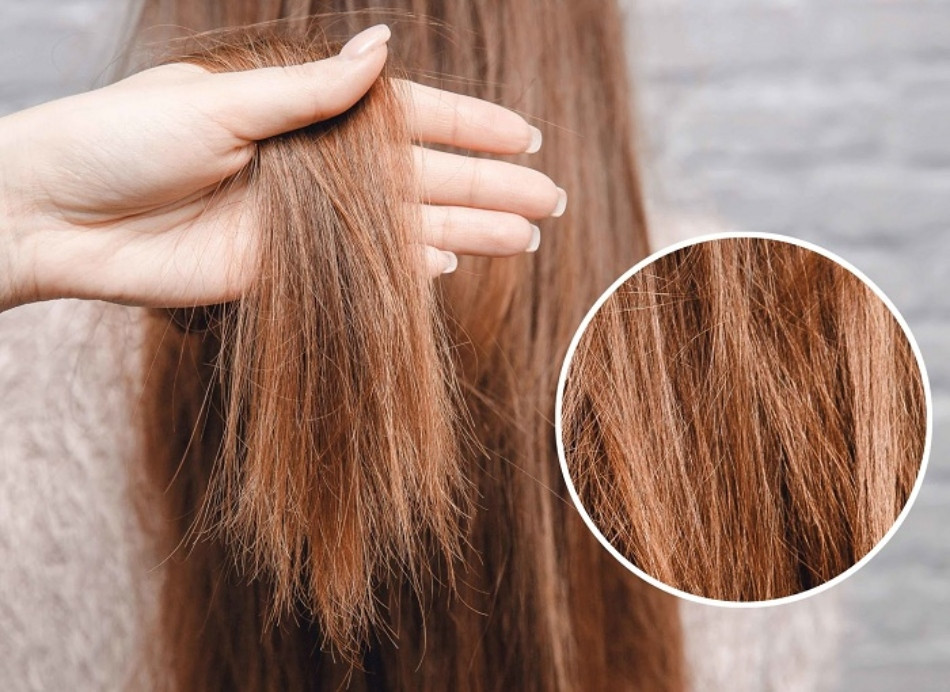 15+ Cách Chăm Sóc Tóc Bóng Mượt Tại Nhà Với Nguyên Liệu Thiên Nhiên