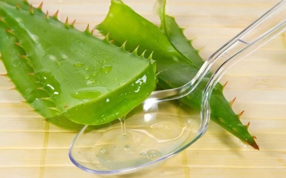 15+ Cách Làm Đẹp Từ Nha Đam An Toàn và Hiệu Quả
