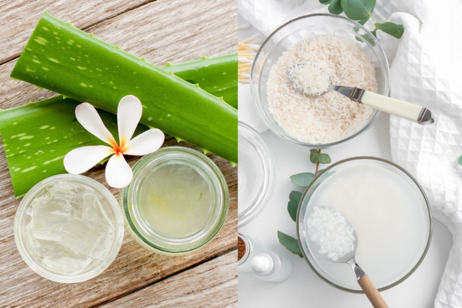 15+ Cách Làm Đẹp Từ Nha Đam An Toàn và Hiệu Quả