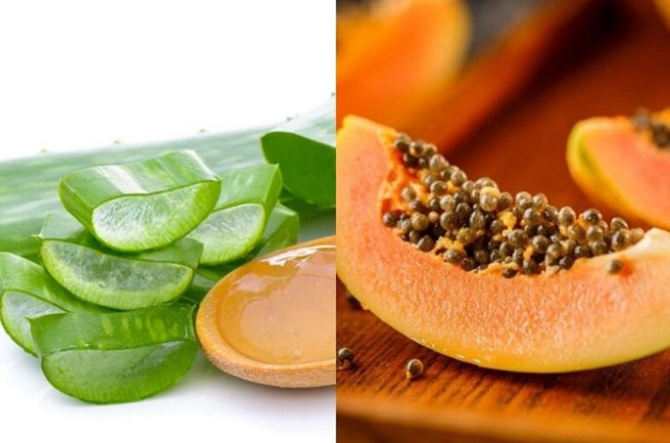 15+ Cách Làm Đẹp Từ Nha Đam An Toàn và Hiệu Quả