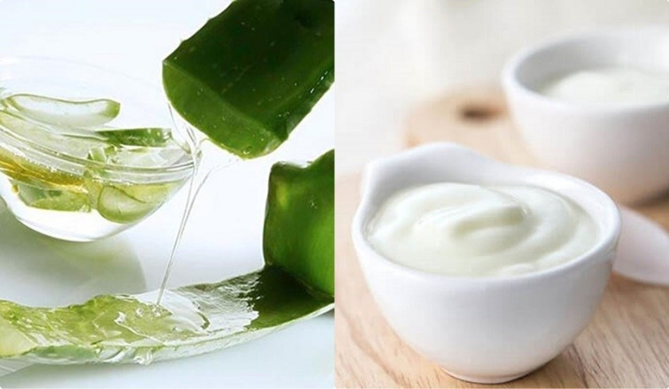 15+ Cách Làm Đẹp Từ Nha Đam An Toàn và Hiệu Quả