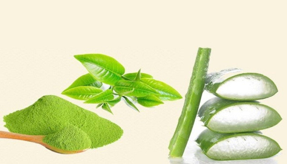 15+ Cách Làm Đẹp Từ Nha Đam An Toàn và Hiệu Quả