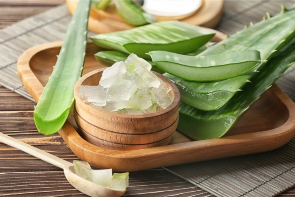 15+ Cách Làm Đẹp Từ Nha Đam An Toàn và Hiệu Quả