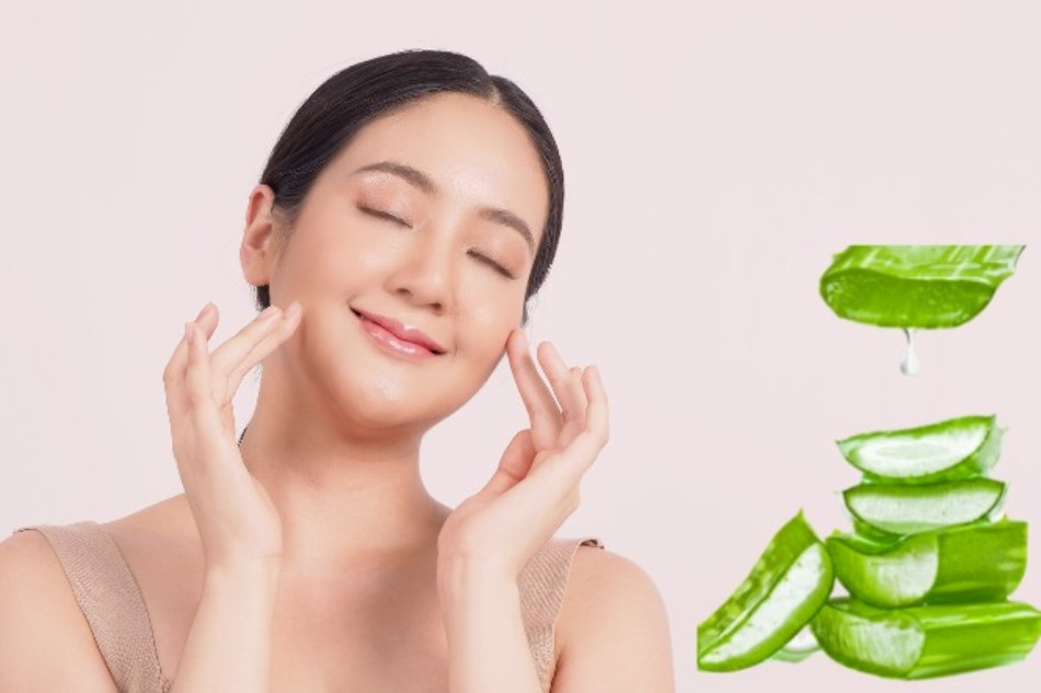 15+ Cách Làm Đẹp Từ Nha Đam An Toàn và Hiệu Quả