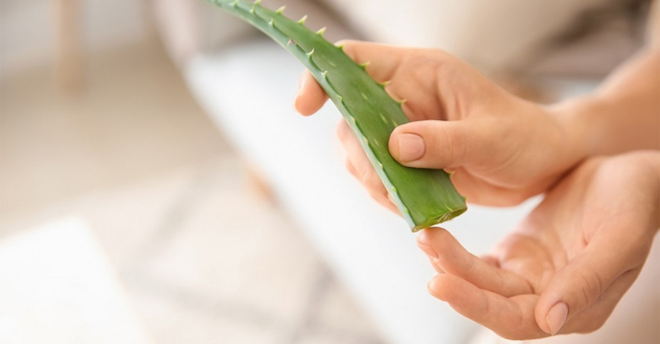 16+ cách làm trắng da bằng nha đam BẬT TONE tức thì