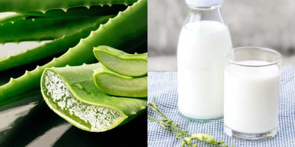 16+ cách làm trắng da bằng nha đam BẬT TONE tức thì