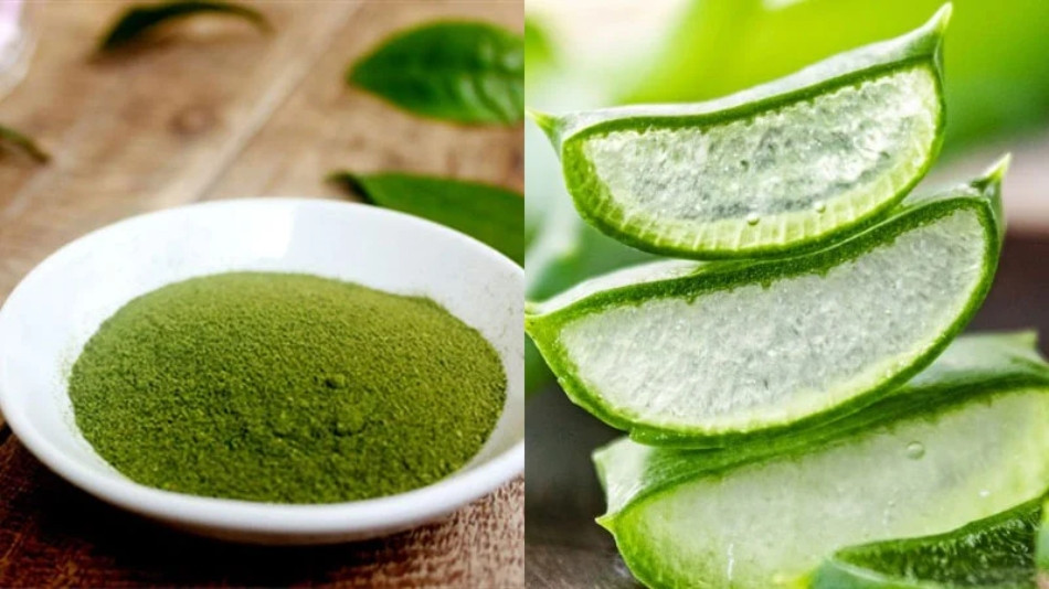 16+ cách làm trắng da bằng nha đam BẬT TONE tức thì