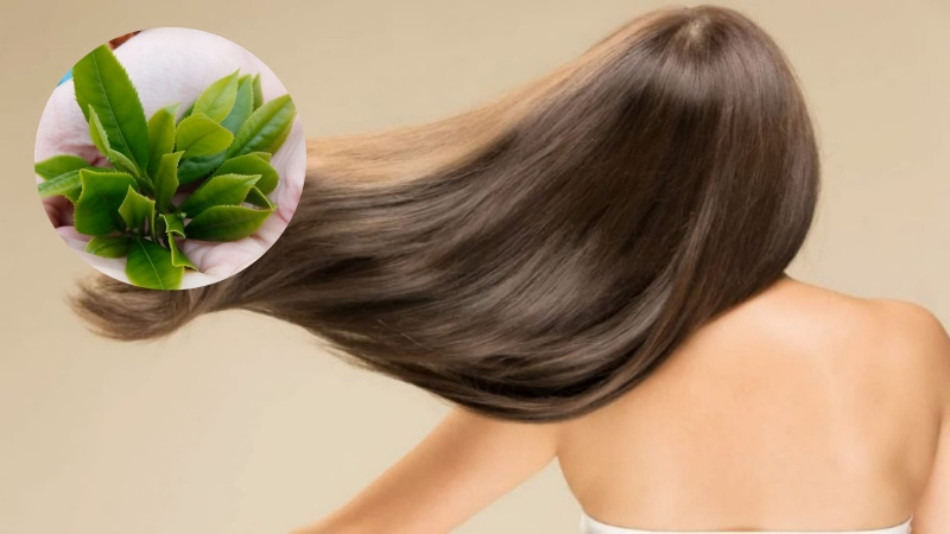 19 Công Thức Dưỡng Tóc Thiên Nhiên An Toàn và Hiệu Quả tại Nhà