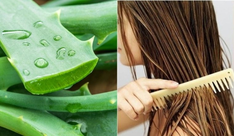 19 Công Thức Dưỡng Tóc Thiên Nhiên An Toàn và Hiệu Quả tại Nhà