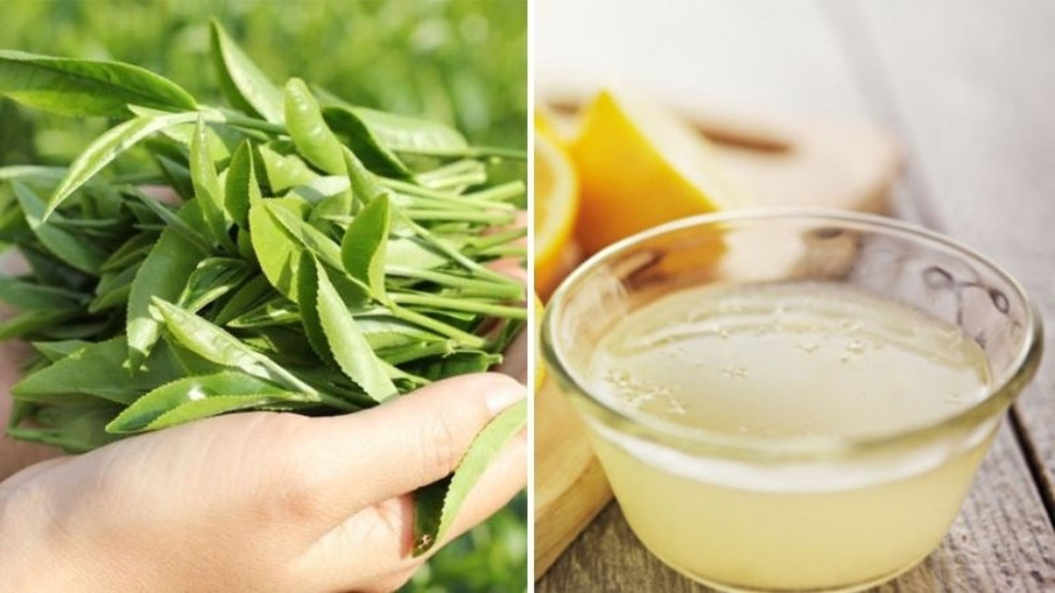 Bỏ túi 11 cách trị gàu bằng chanh HIỆU QUẢ tại nhà