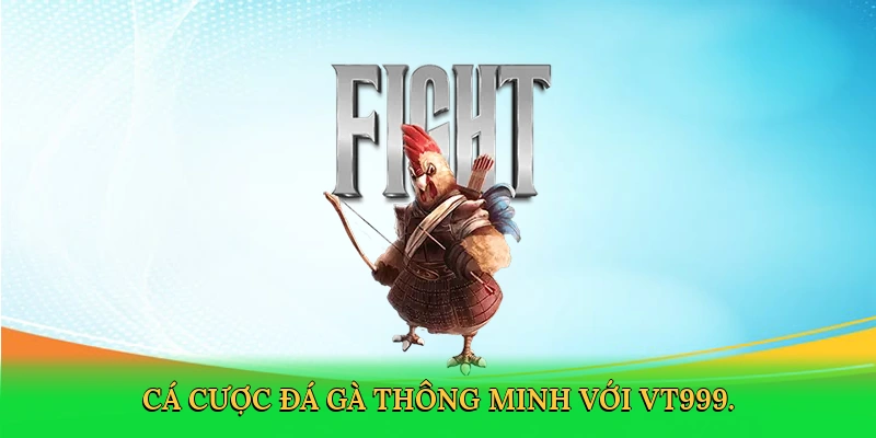 Đá Gà Cựa Dao: Bí Quyết Thắng Lớn Cùng VT999