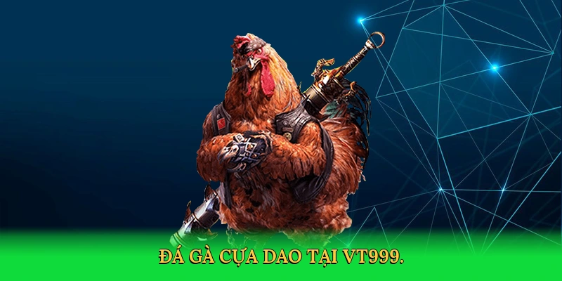 Đá Gà Cựa Dao: Bí Quyết Thắng Lớn Cùng VT999