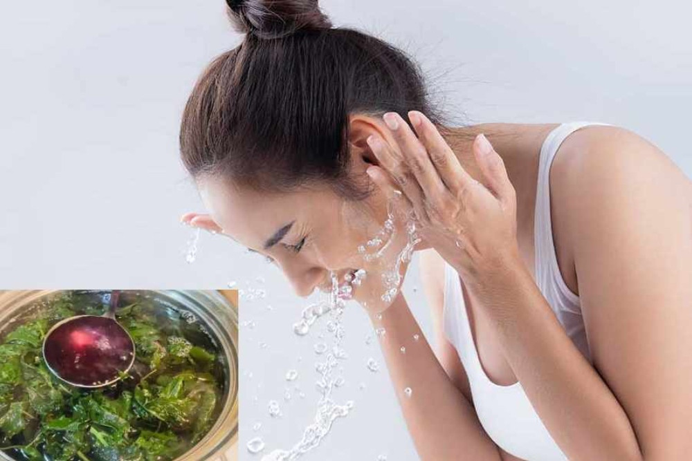 Khám Phá 11 Cách Làm Trắng Da Từ Lá Tía Tô An Toàn và Hiệu Quả