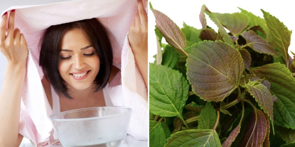 Khám Phá 11 Cách Làm Trắng Da Từ Lá Tía Tô An Toàn và Hiệu Quả