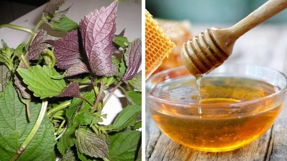Khám Phá 11 Cách Làm Trắng Da Từ Lá Tía Tô An Toàn và Hiệu Quả