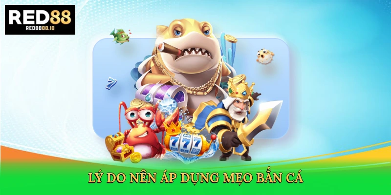 ly-do-nen-ap-dung-meo-ban-ca-3