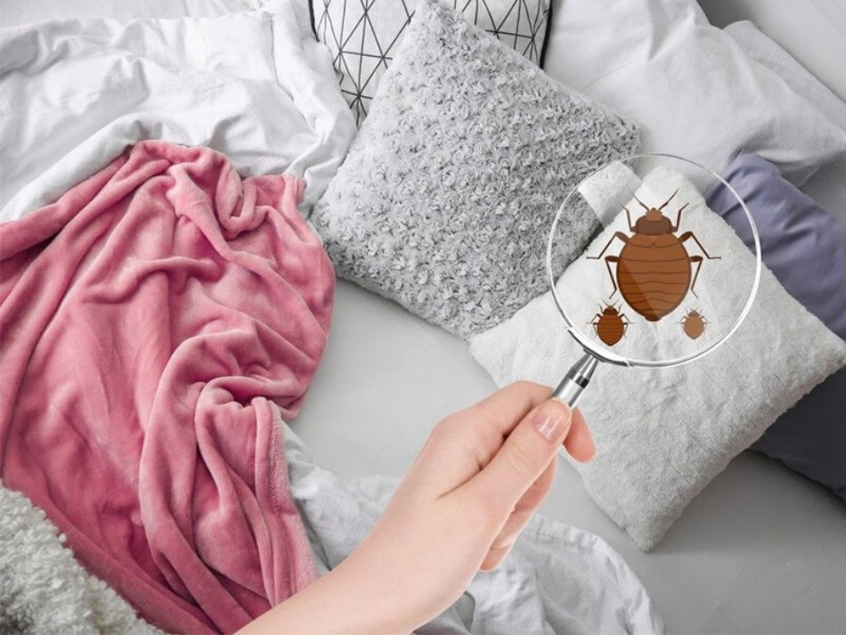 Mẹo 15 cách trị hết gàu TẬN GỐC cực nhanh và đơn giản tại nhà