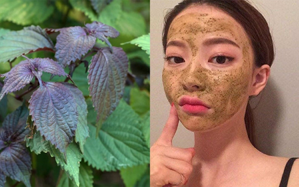 Mẹo 17+ cách trị nám da mặt bằng thiên nhiên đơn giản tại nhà