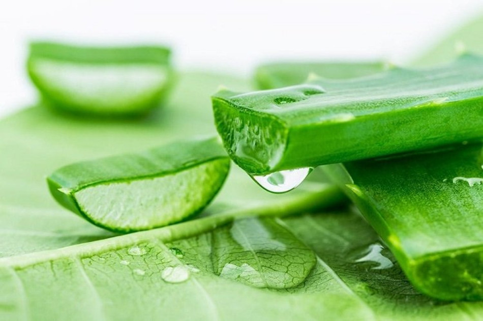 Mẹo 17+ cách trị nám da mặt bằng thiên nhiên đơn giản tại nhà