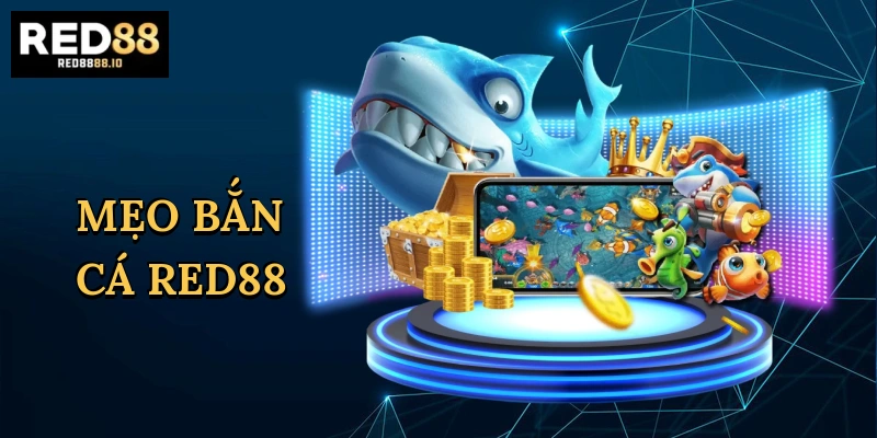 meo-ban-ca-red88-1