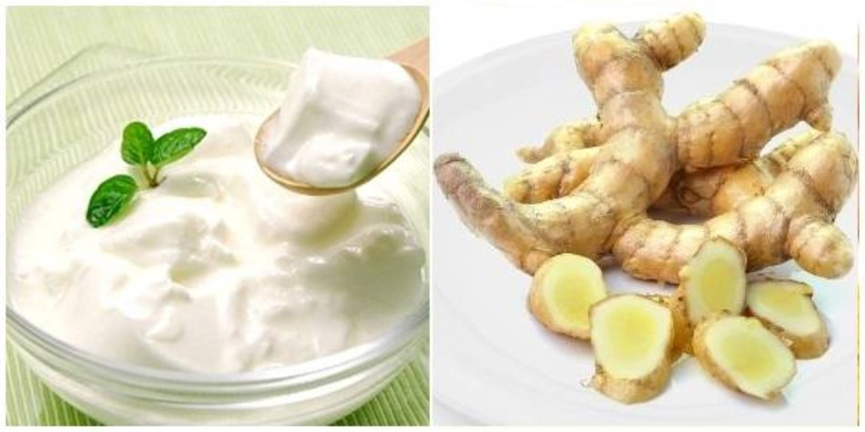 Tác Dụng Của Nghệ Trắng Trong Làm Đẹp Mà Bạn Chưa Biết