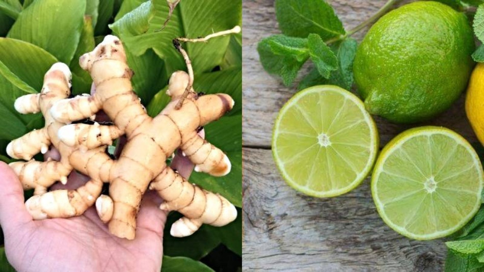Tác Dụng Của Nghệ Trắng Trong Làm Đẹp Mà Bạn Chưa Biết