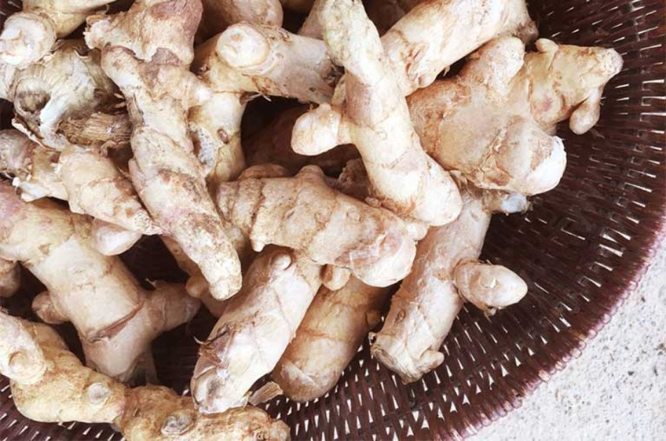Tác Dụng Của Nghệ Trắng Trong Làm Đẹp Mà Bạn Chưa Biết
