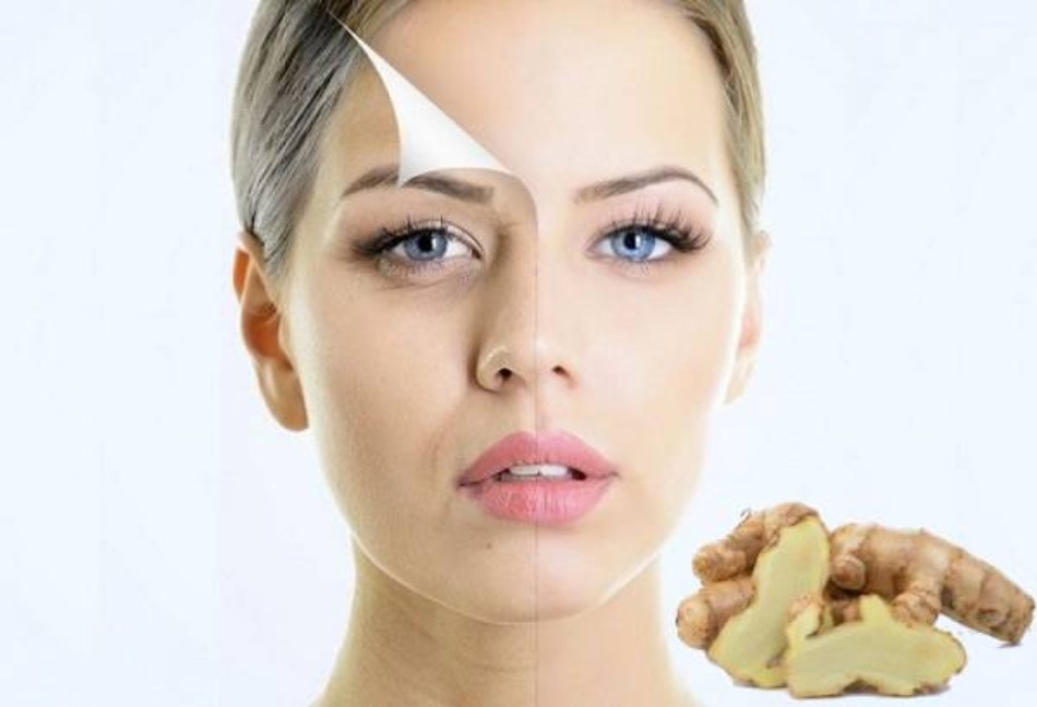 Tác Dụng Của Nghệ Trắng Trong Làm Đẹp Mà Bạn Chưa Biết
