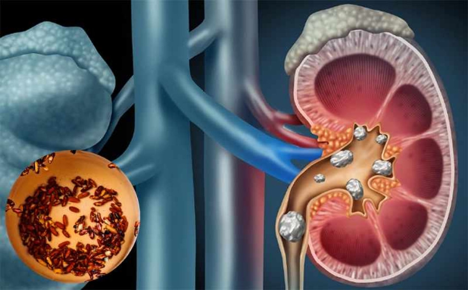 Trà Gạo Lứt: 12 Tác Dụng Tuyệt Vời Đối Với Sức Khỏe