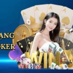 Xếp hạng bài poker