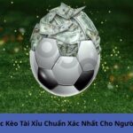 Cách Đọc Kèo Tài Xỉu Chuẩn Xác Nhất Cho Người Mới