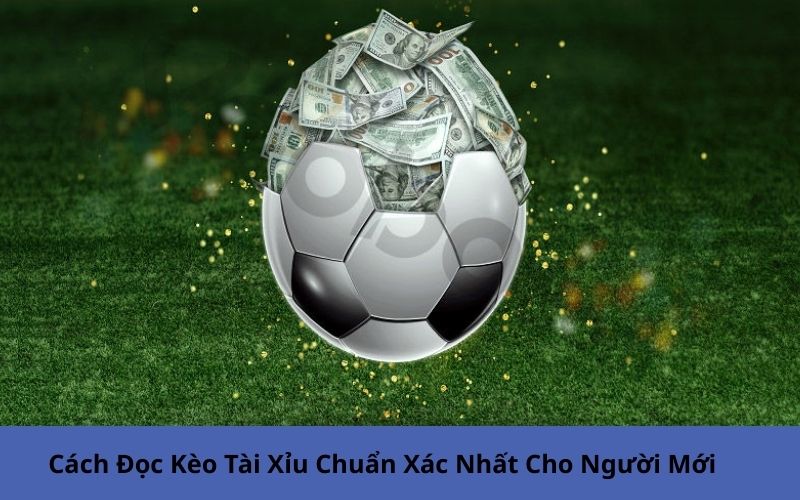 Cách Đọc Kèo Tài Xỉu Chuẩn Xác Nhất Cho Người Mới