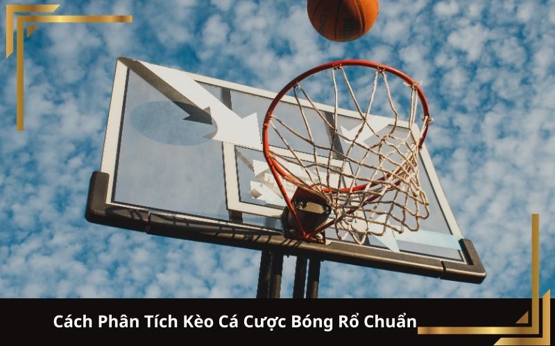 Cách Phân Tích Kèo Cá Cược Bóng Rổ Chuẩn