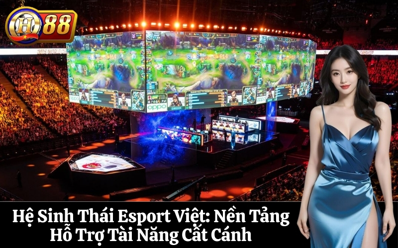 Hệ Sinh Thái Esport Việt Nền Tảng Hỗ Trợ Tài Năng Cất Cánh