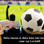 Điều khoản & điều kiện khi tham gia cá cược tại Locla88