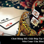 Chơi Rồng Hổ: Giải Đáp Tại Sao Không Nên Cược Cửa Hòa?
