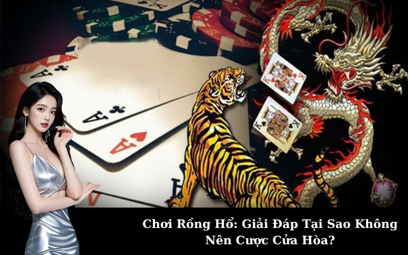 Chơi Rồng Hổ: Giải Đáp Tại Sao Không Nên Cược Cửa Hòa?