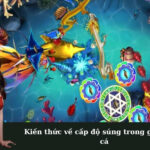 Kiến thức về cấp độ súng trong game bắn cá