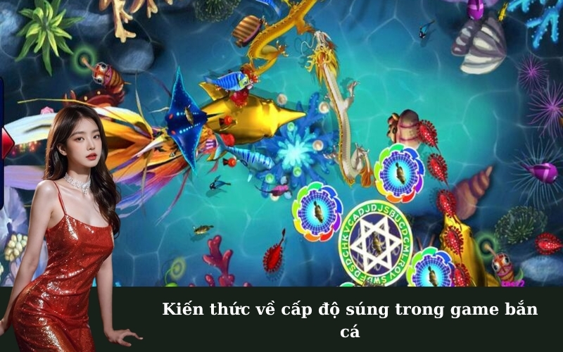 Kiến thức về cấp độ súng trong game bắn cá
