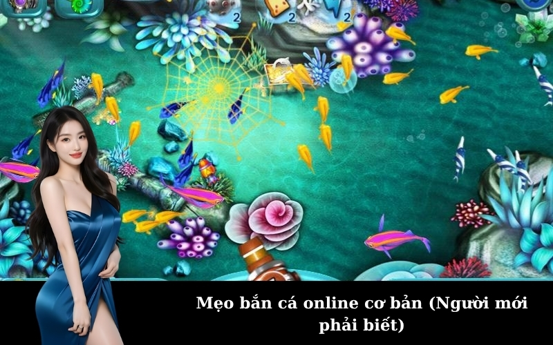 Mẹo bắn cá online cơ bản (Người mới phải biết)