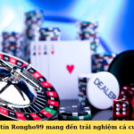 Nhà cái uy tín Rongho99 mang đến trải nghiệm cá cược an toàn