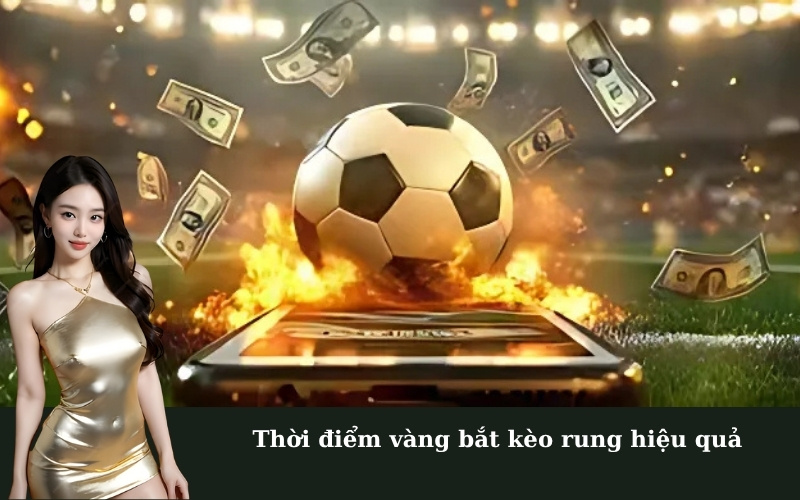 Thời điểm vàng bắt kèo rung hiệu quả