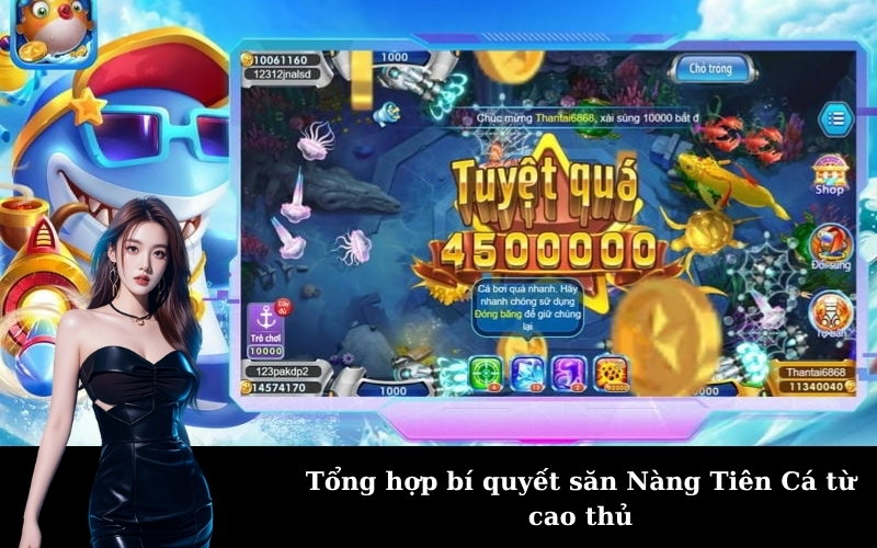 Tổng hợp bí quyết săn Nàng Tiên Cá từ cao thủ